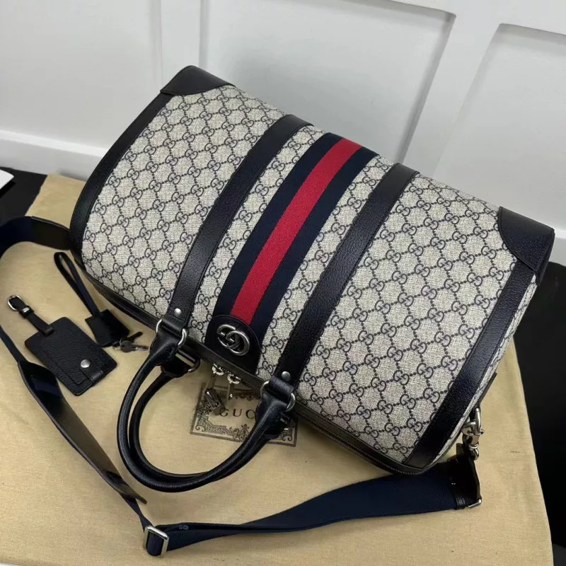 Hot Gucci Bag 2405HT0004 0119